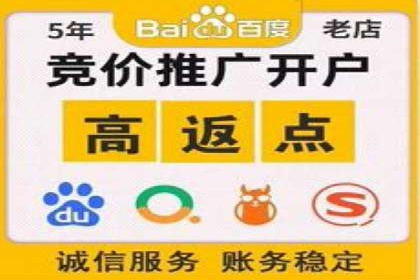 百度广告投放策略优化及成功案例解析